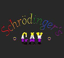 Schrodinger's Gay